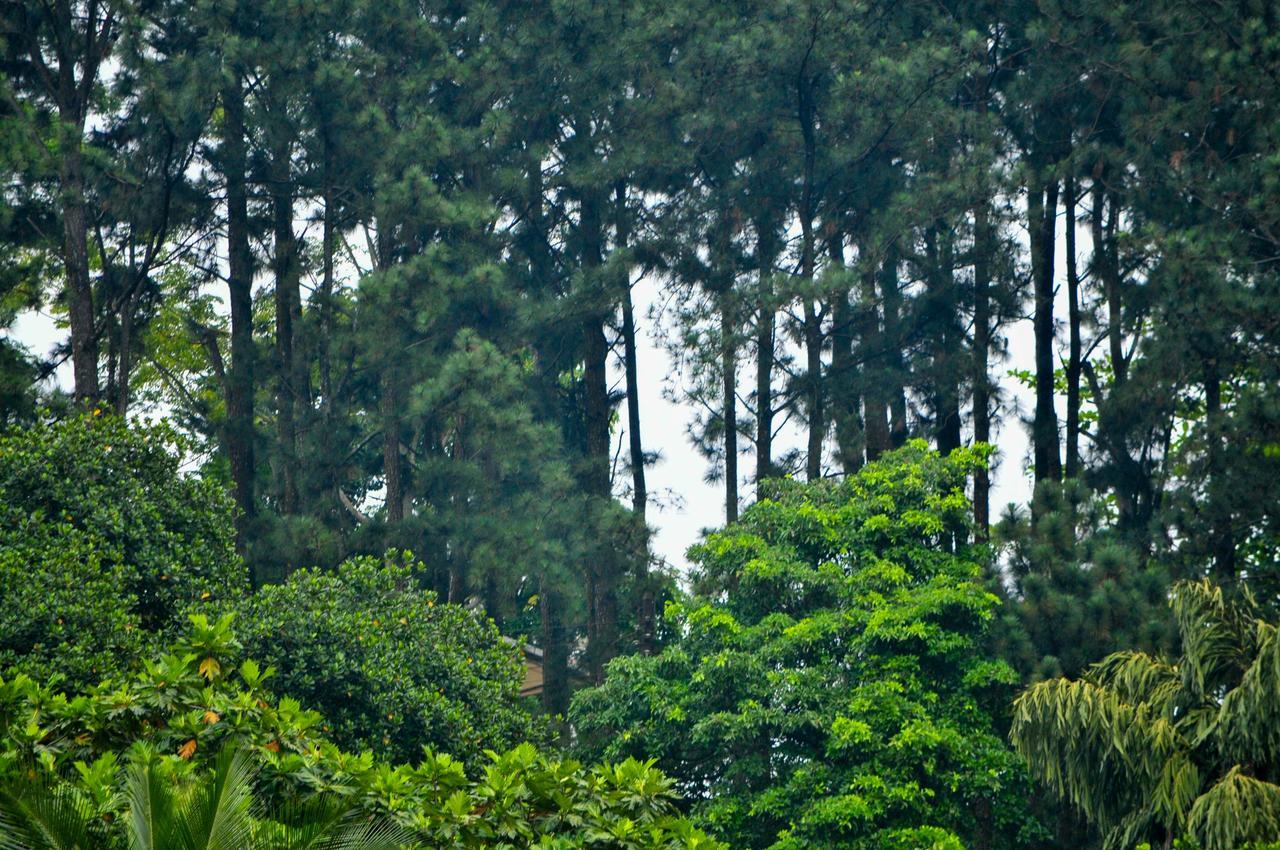 Vendol Maliga Edge Hotel Kandy Buitenkant foto